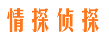 富宁侦探公司